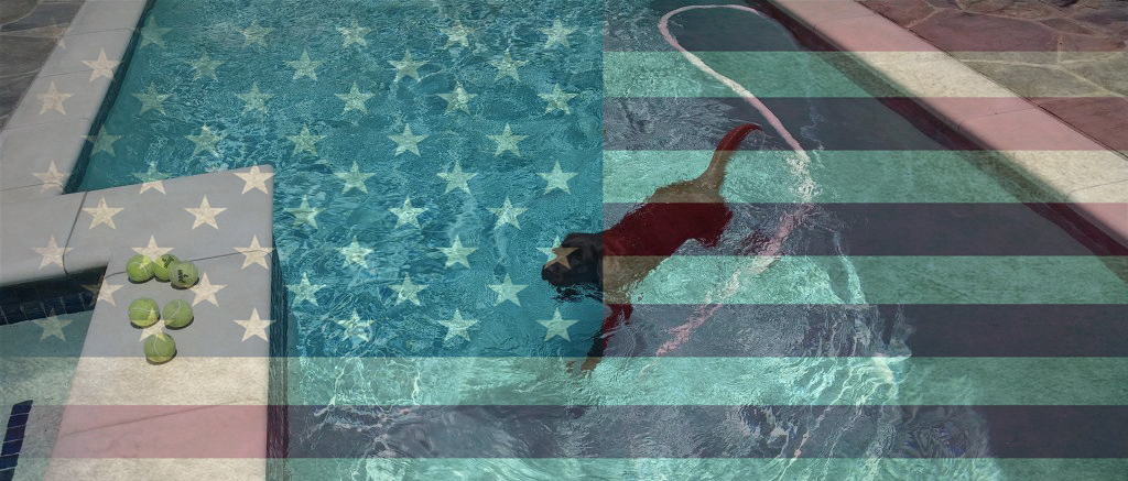 All American Home Dog and Pool